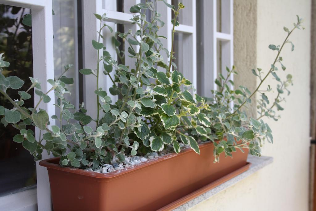 Highland Apartment Budapest Phòng bức ảnh